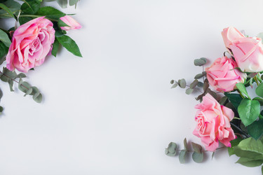 Similar image 20069949