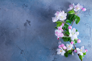 Similar image 20069950