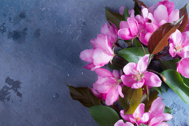 Similar image 20069952