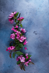 Similar image 20069953