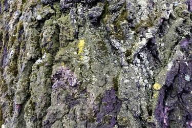 Similar image 20076332