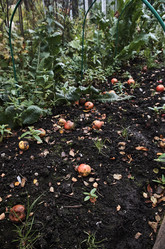 Similar image 20058873