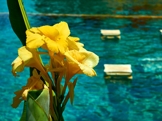 Similar image 20058874