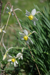 Similar image 20058880