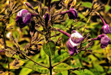 Similar image 20058881