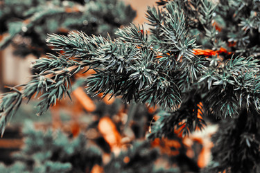 Similar image 20058882