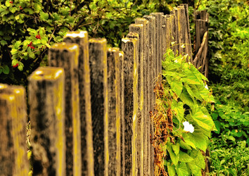 Similar image 20058884