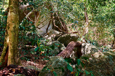 Similar image 20058903