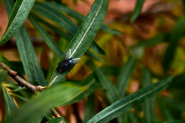 Similar image 20058906