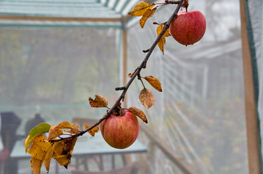 Similar image 20058907