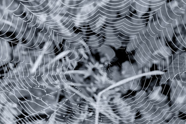 Similar image 20058909