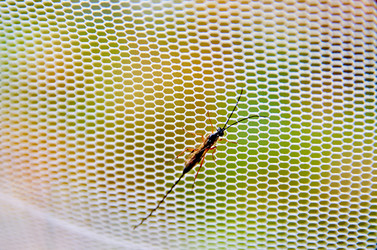 Similar image 20058911