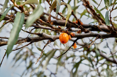 Similar image 20058930