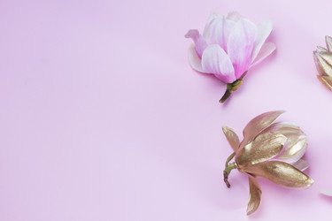 Similar image 20069958