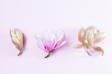 Similar image 20069960