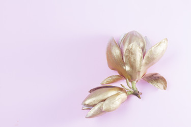 Similar image 20069961