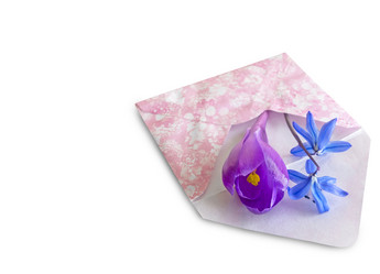 Similar image 20166502