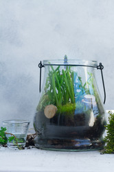 Similar image 20069972