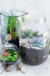 Similar image 20069973