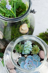 Similar image 20069975