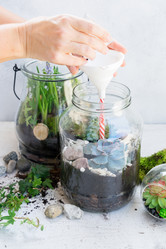 Similar image 20069977