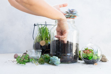 Similar image 20069978