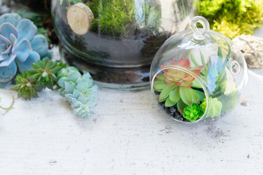 Similar image 20069979