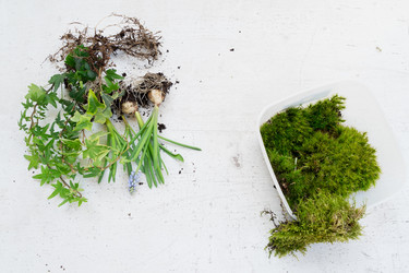 Similar image 20069982