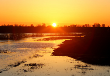 Similar image 20160909