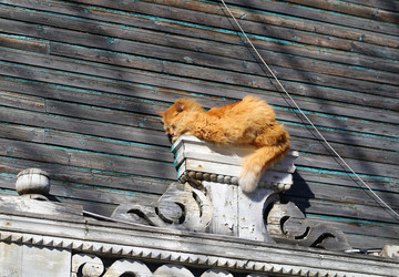 Similar image 20160911