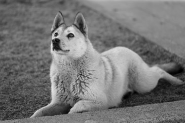 Similar image 20160925