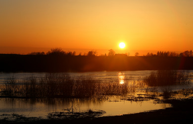 Similar image 20160951