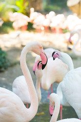 Similar image 20105846