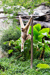 Similar image 20105867