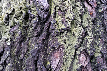 Similar image 20076339