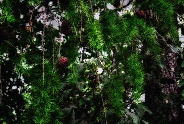 Similar image 20058841