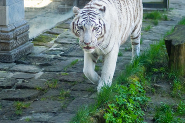 Similar image 20121314