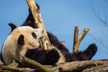 Similar image 20121303