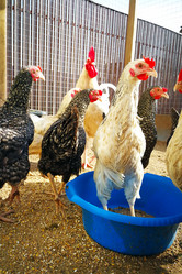 Similar image 20105903