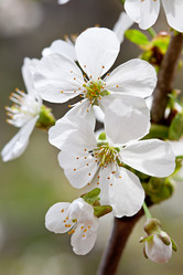 Similar image 20112317