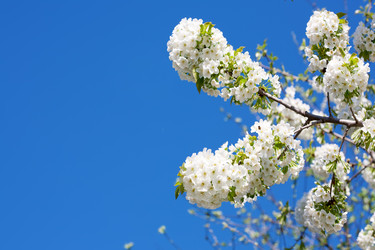 Similar image 20112318