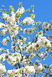 Similar image 20112319