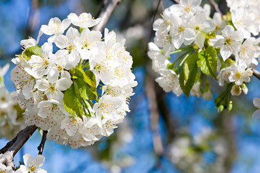 Similar image 20112320