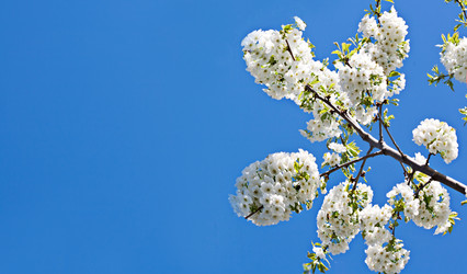 Similar image 20112323