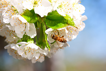 Similar image 20112326