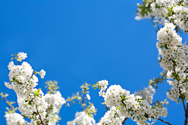 Similar image 20112329