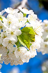 Similar image 20112351