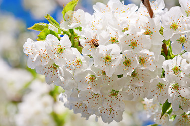 Similar image 20112354