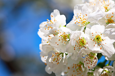 Similar image 20112357