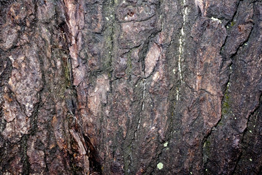 Similar image 20082880